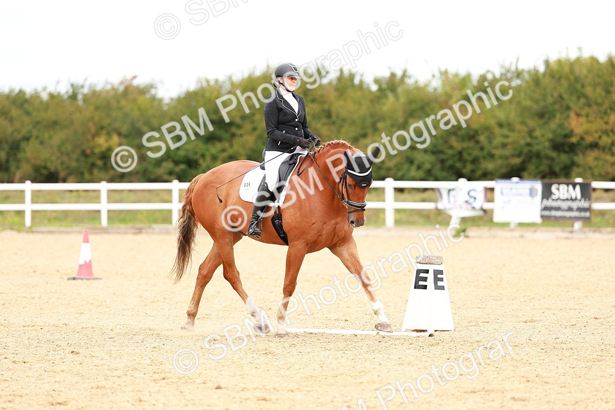 SBM_001900 - Class 5-6 - Novice 3-Elem 3