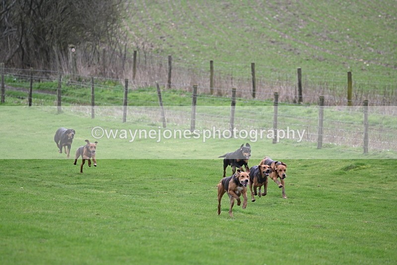 WJ6_8970 - Line Three