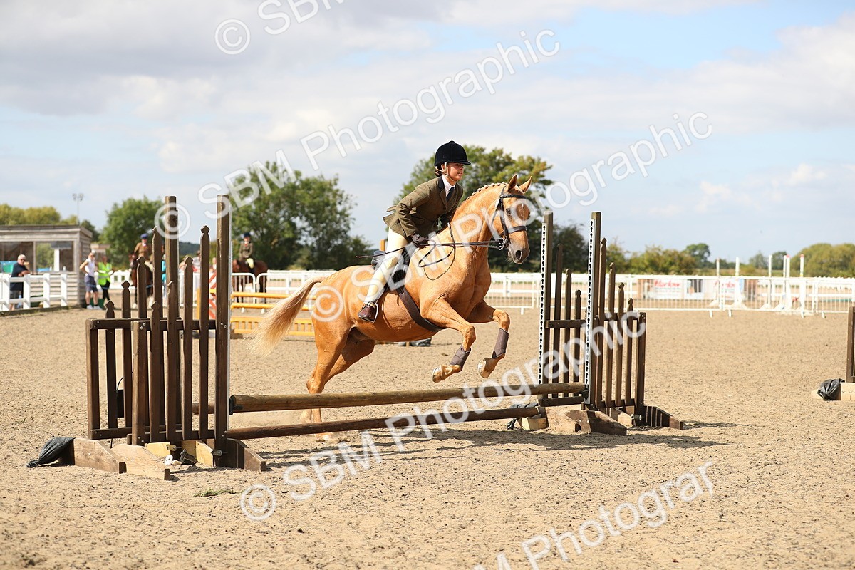 SBM_04198 - Class 46a Style & Performance 50cm (15-19)