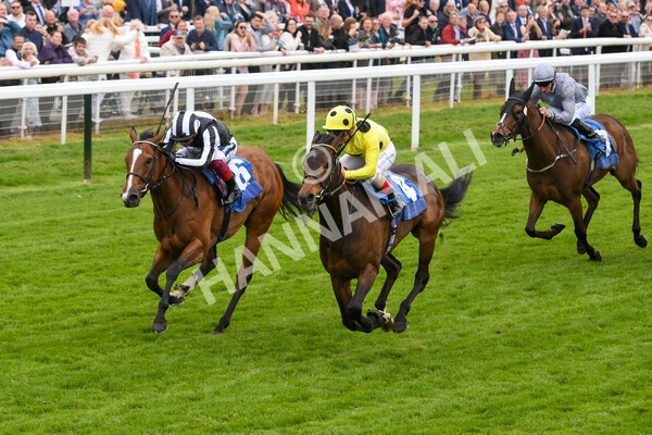 yr13052022r2-24 - Race 2 2.25pm Oaks Farm Stables Fillies' Stakes (registered as the Michael Seely Memorial Stakes)