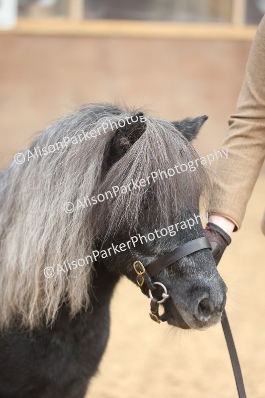 20251109-0044 - Class 3 - 2 and 3 Year Old