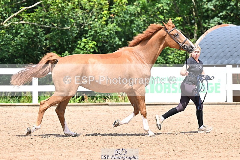 240718A-105318-01823 - Trot Up 1pm to 2pm