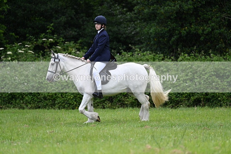 WJ7_2613 - Class 12A Coloured Class