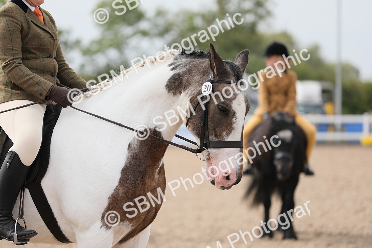 SBM_16981 - Class 314 Family Horse/Pony
