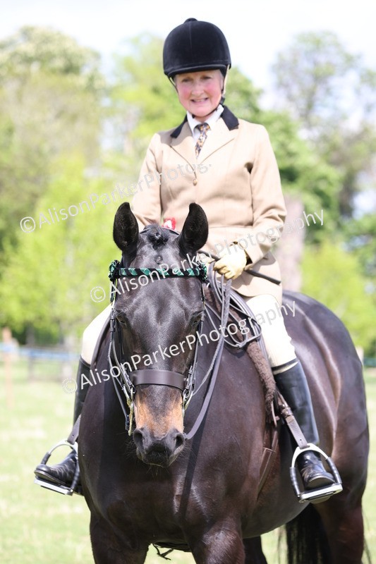 20250427-4110 - Class 34 - Best Riding Horse Over 14.2hh