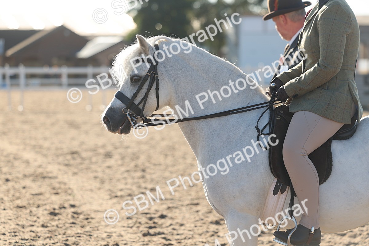SBM_10911 - Class 301 - Ridden M&M Small Breeds