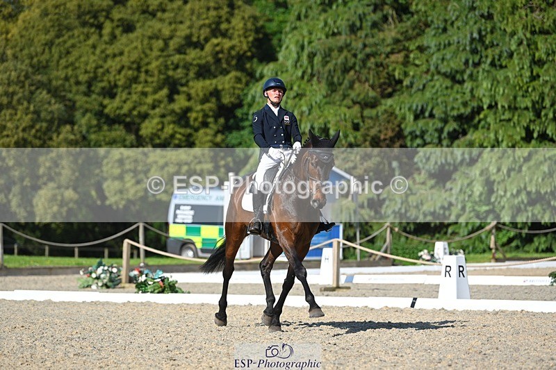 230526-171803-07559 - 262-TREAMBLE-Finn_Healy-WEDTrotUp+DR