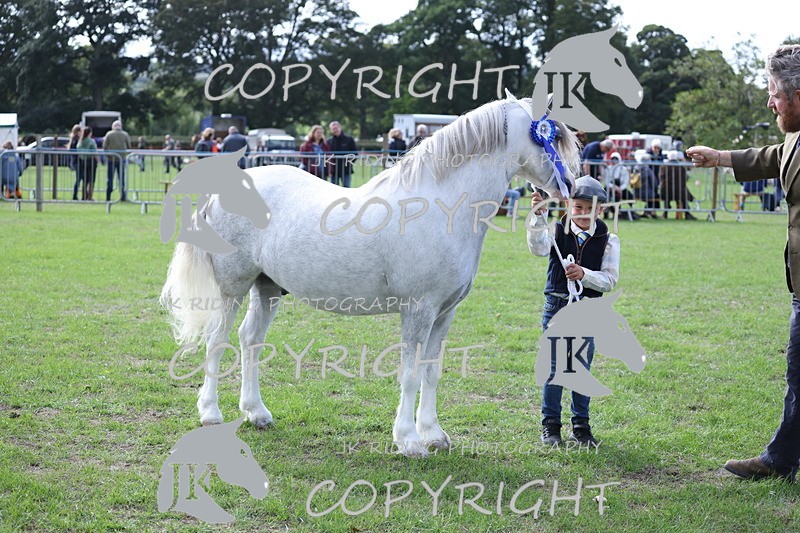 APP_2974 - Class 10a/b M&M in hand