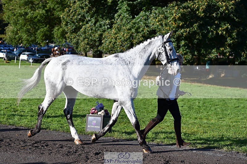 231022-100354-22217 - 474-MENELAUS-Elise.Washer-TrotUp+SJ