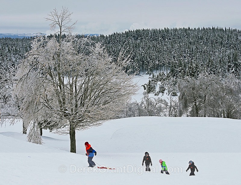 Sliding at Rockwood Park - 1 - Sport & Recreation