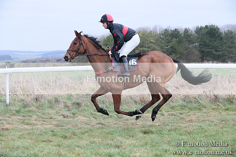 PtP 060119 189 - Larkhill Racing Club - Point-to-Point- 06/01/2019