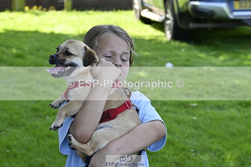 240728B-120534-00403 - Sunday Stable Shots and Fancy Dress