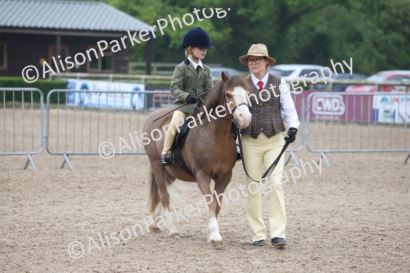 20260504-0107 - Class 9 - Lead Rein Pony
