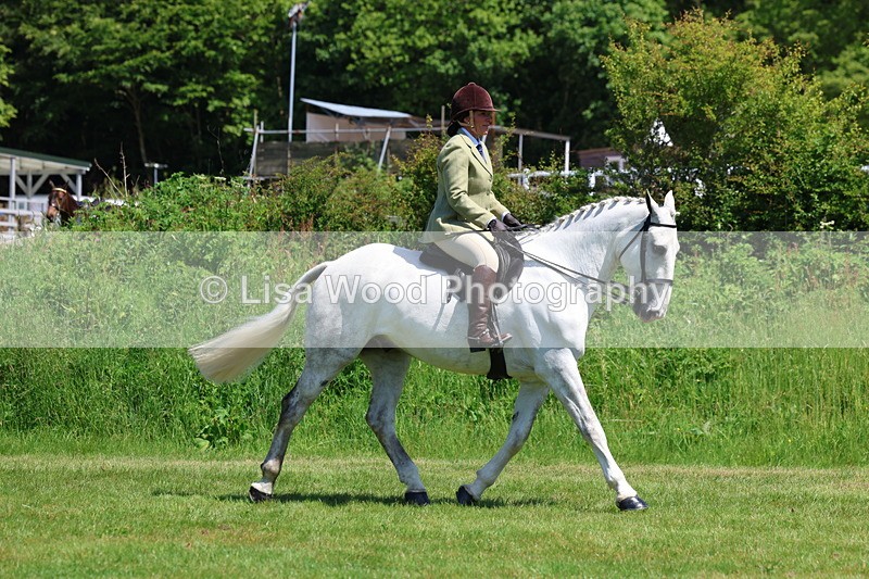 3E7A8195 - Class 13: Ridden Hunter
