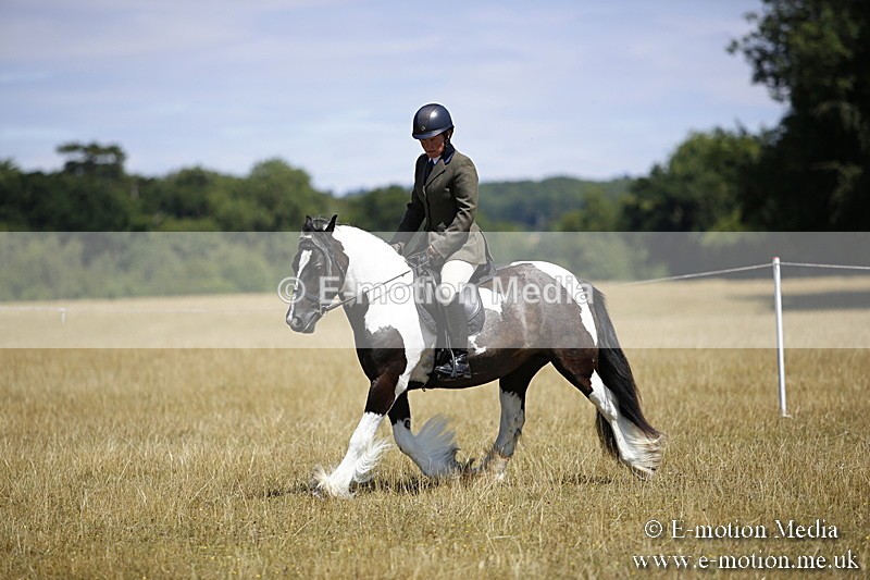 _C7A9960 - BVRC Show 2018 Ring 1