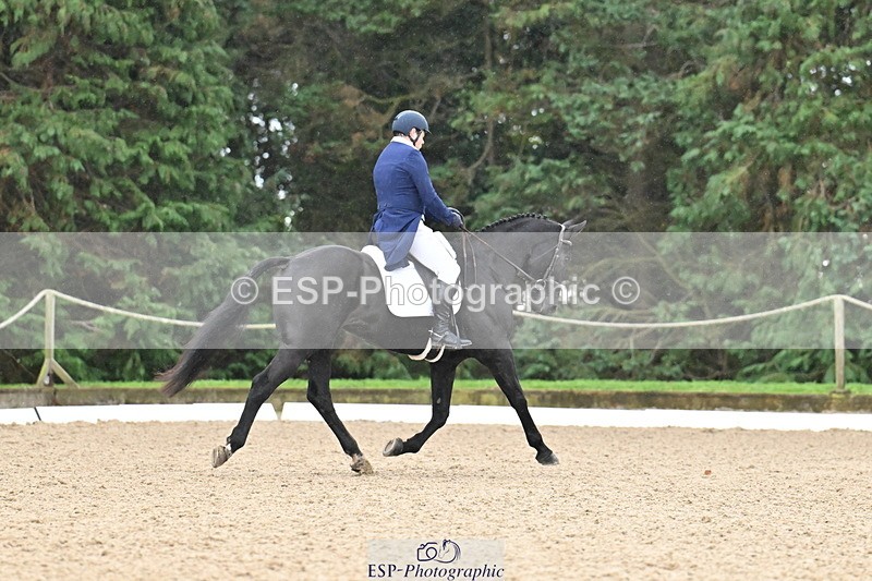 251023A-115546-01806 - C-231-Michael.McNally