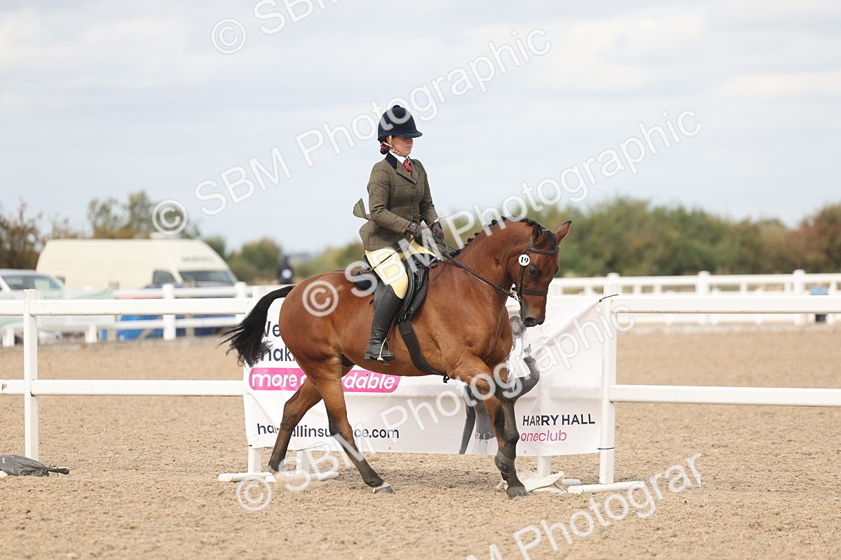 SBM_15981 - Class 311 - Ridden Show pony-Show hunter Pony