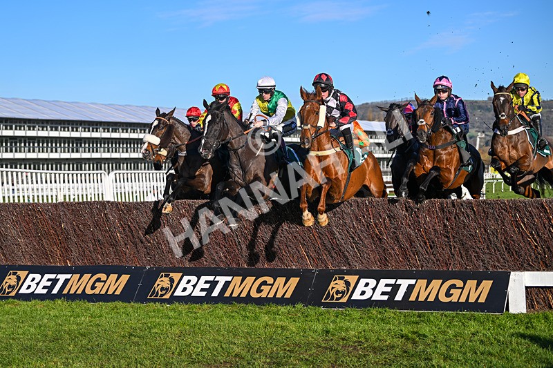 141224-Race 2-Hillcrest-1445 - Race 2