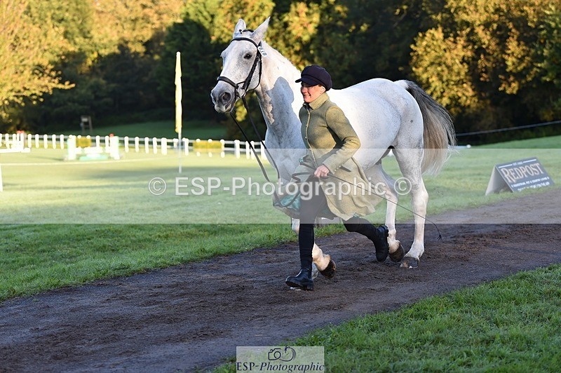 231022-085502-21447 - 618-LORD.PICTON.FREESTYLE-Penny.Corbett-TrotUp+SJ