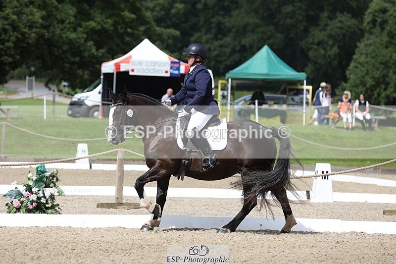 230812-111845-03732 - Cls 5 Novice Bronze 11.15 to 12.50 break