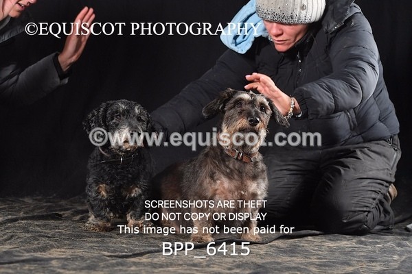 BPP_6415 - CARLA DOGS