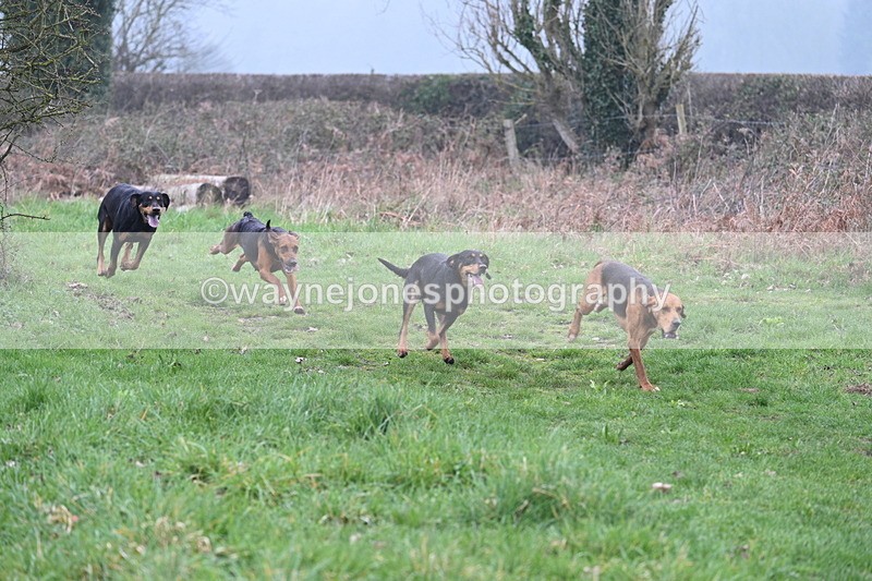 WJ7_0294 - Line 2 cam A