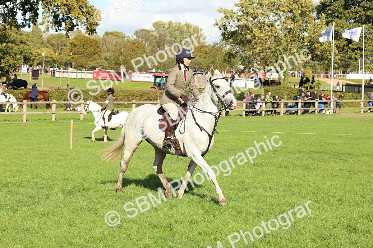 SBM_50121 - S34 - Novice & Newcomers Working Hunter