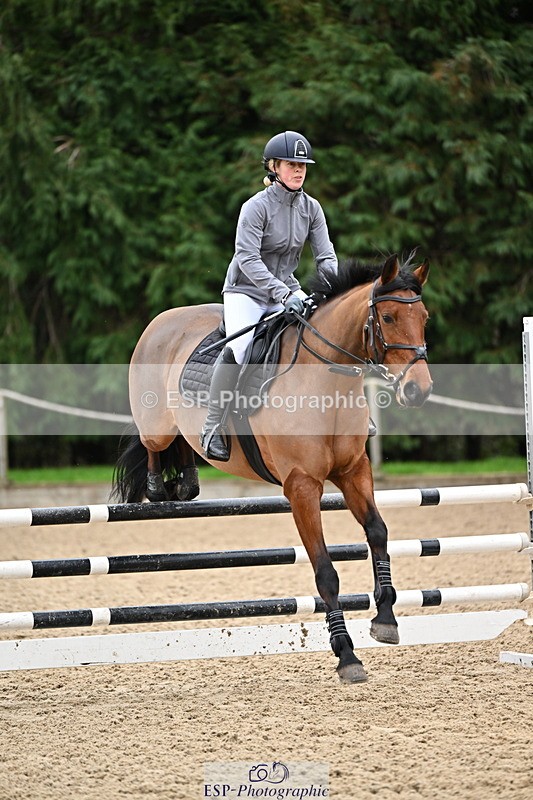 250201A-110601-00329 - Cls 02 Local Horse 100cm