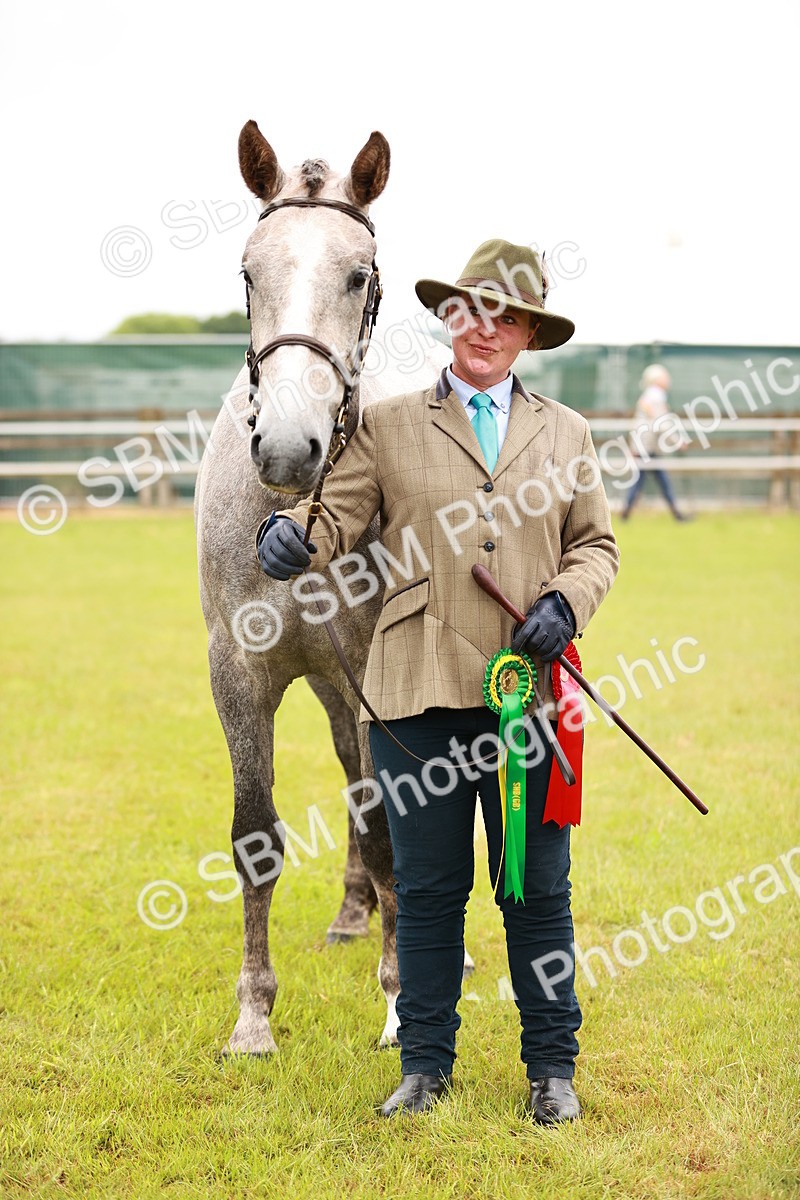 SBM_00731 - Class 26-30 Sport Horse In Hand