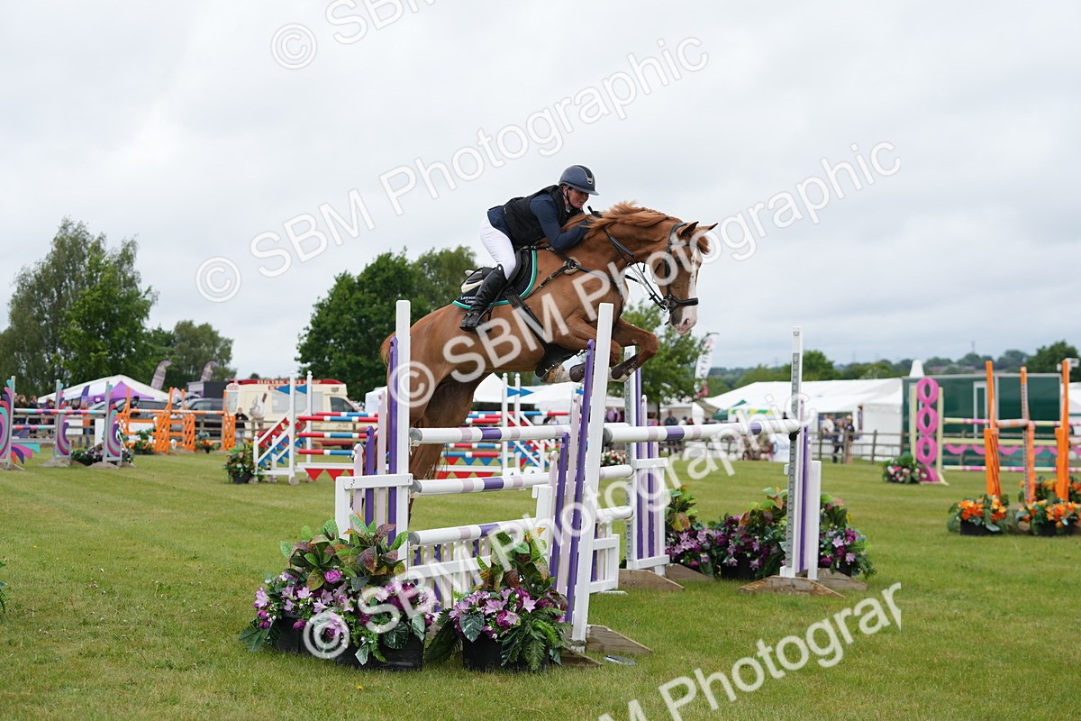 SBM_03281 - Class 201 - British Horse Feeds Speedi Beet Horse of the Year Show Grade  C