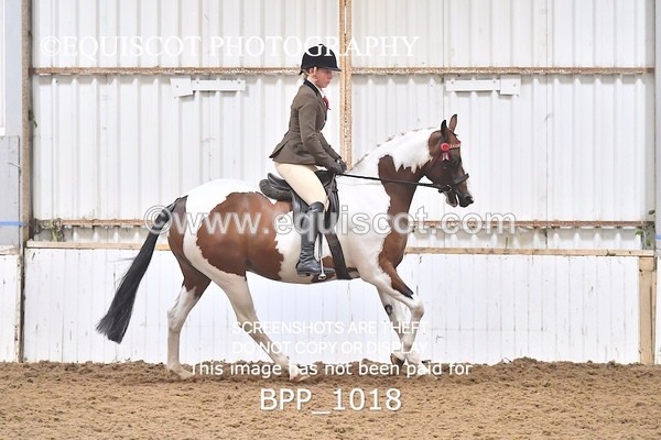BPP_1018 - RING 2
