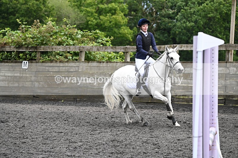 WJ6_0044 - Class 13 Novice 60cm