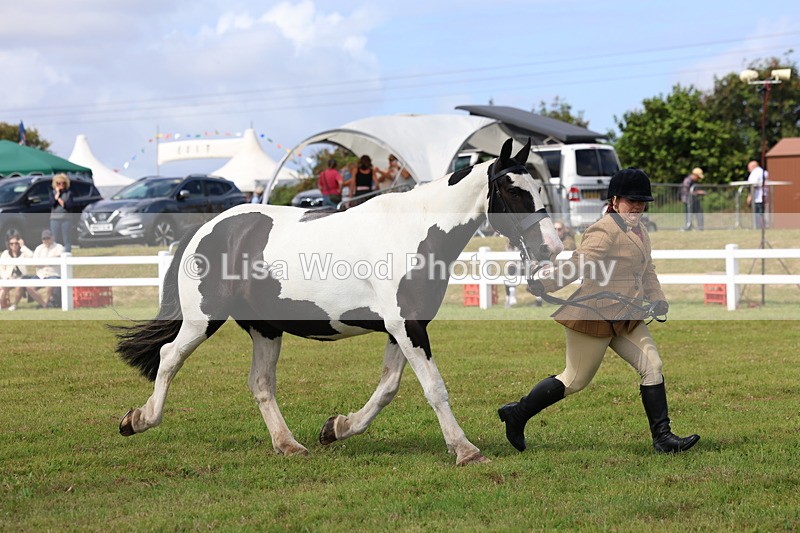 3E7A0055 - Class 5: Rising Star Lightweight/Heavyweight Cobs