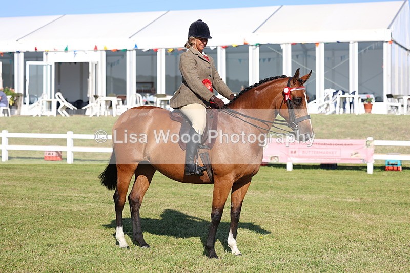 3E7A5177 - Class 1: Rising Star Small Hack/Riding Horses
