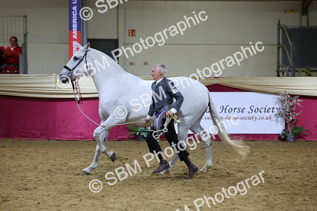 0B8A4766 - Class S Costume Concours Champ