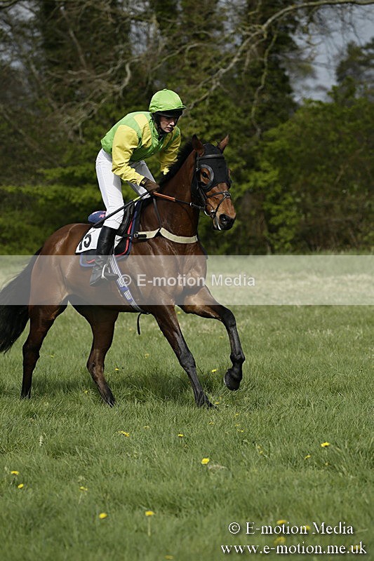 PtP 170417 278 - Old Berks Point-to-Point Lockinge 17/04/17