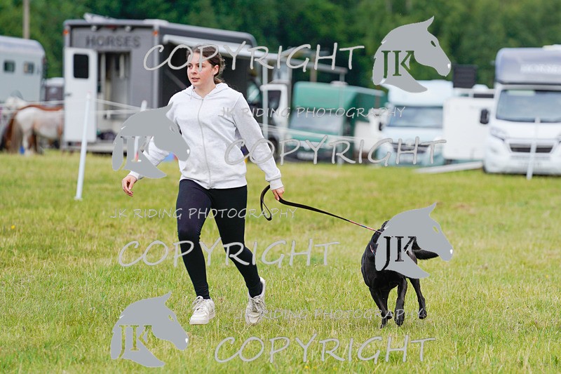 _DSC4864 - CLASS 7 HORSE & HOUND RING 2