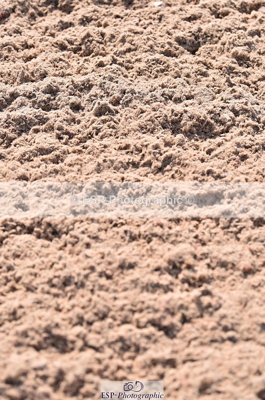 230609A-100012-00240 - Cls 8 British Novice & 90cm Open