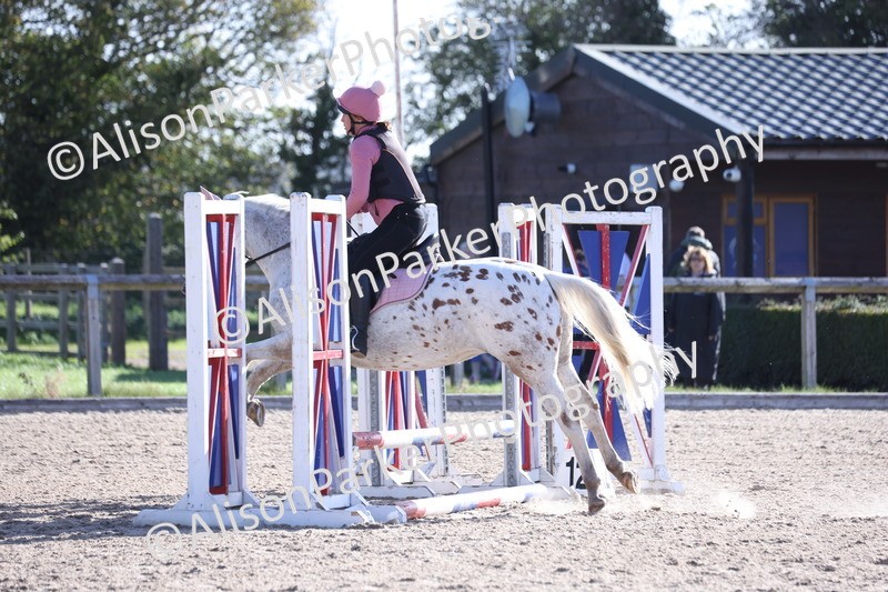 20251005-0121 - Class 2 - 50cm