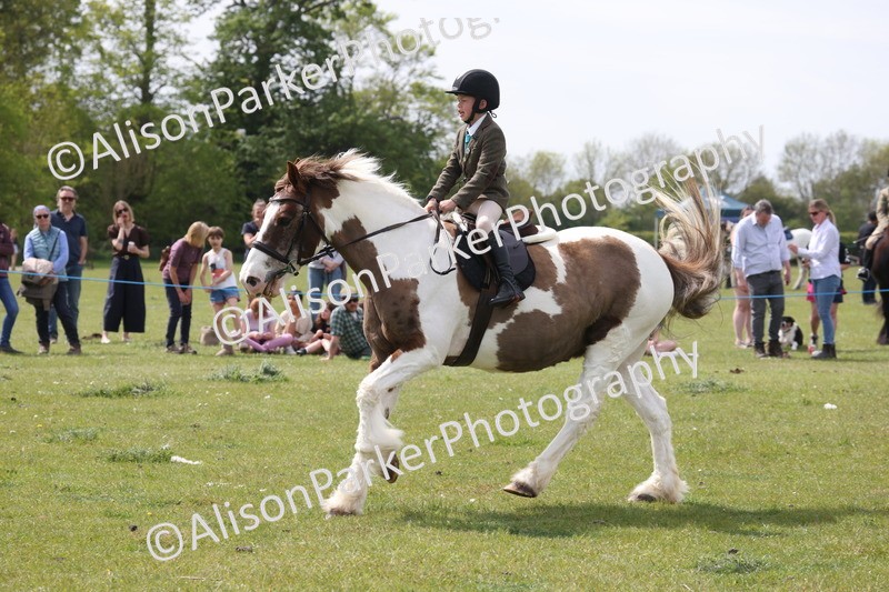 20260426-4415 - Class 34 - Best Riding Horse Over 14.2hh
