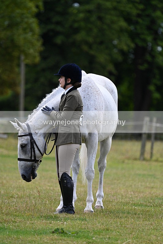 WJ7_7069 - Class 5a Most Handsome Gelding in Hand