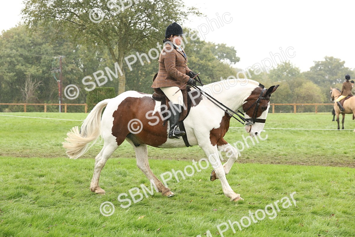 SBM_69806 - S69 - Show Cob Ridden