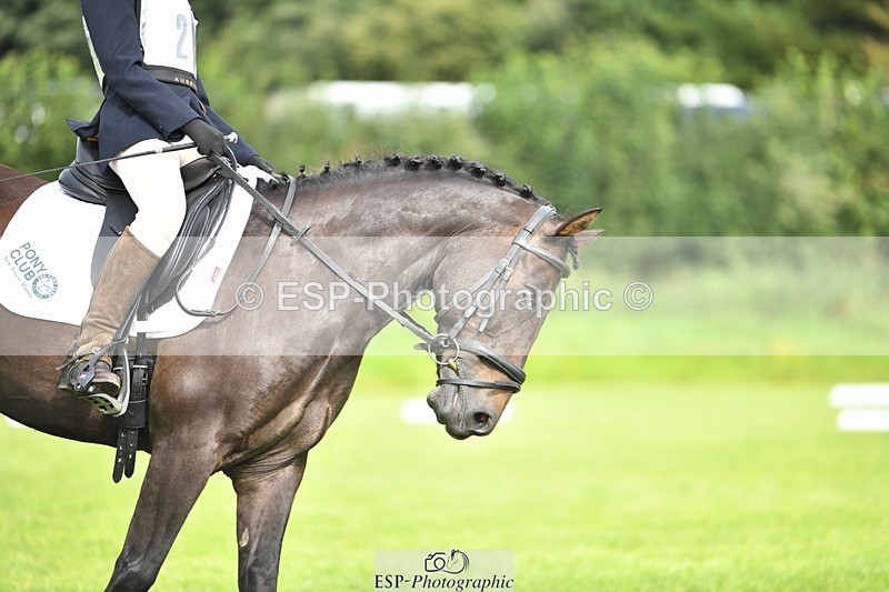 230826-095251-15274 - Sections C & D 9 to 10am