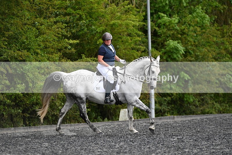 WJ5_2133 - Time 15:05 to 15:30