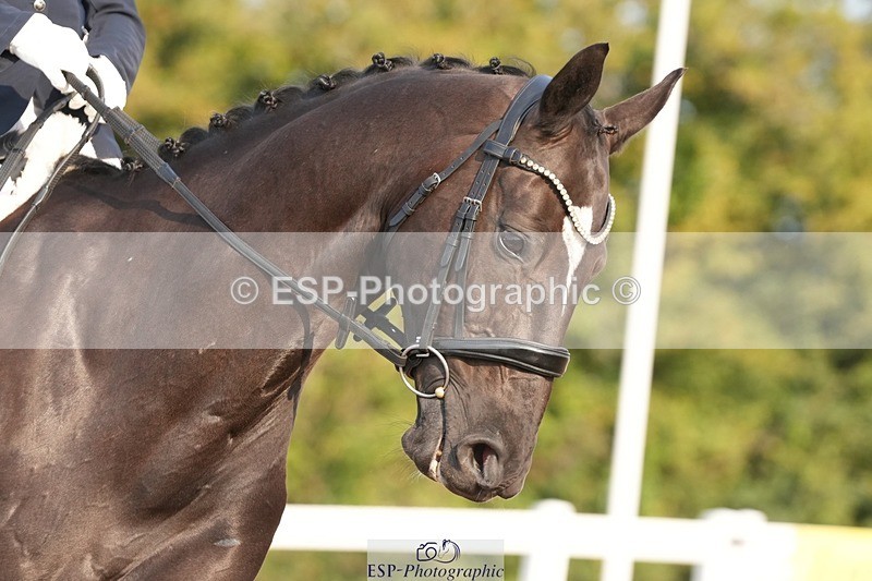 250817-084611-07321 - 164-Carole.MalyonDiamonds.Are.Forever