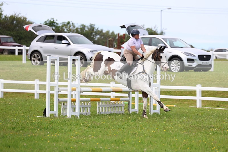 3E7A1698 - Class 13: Senior British Novice/90cm open