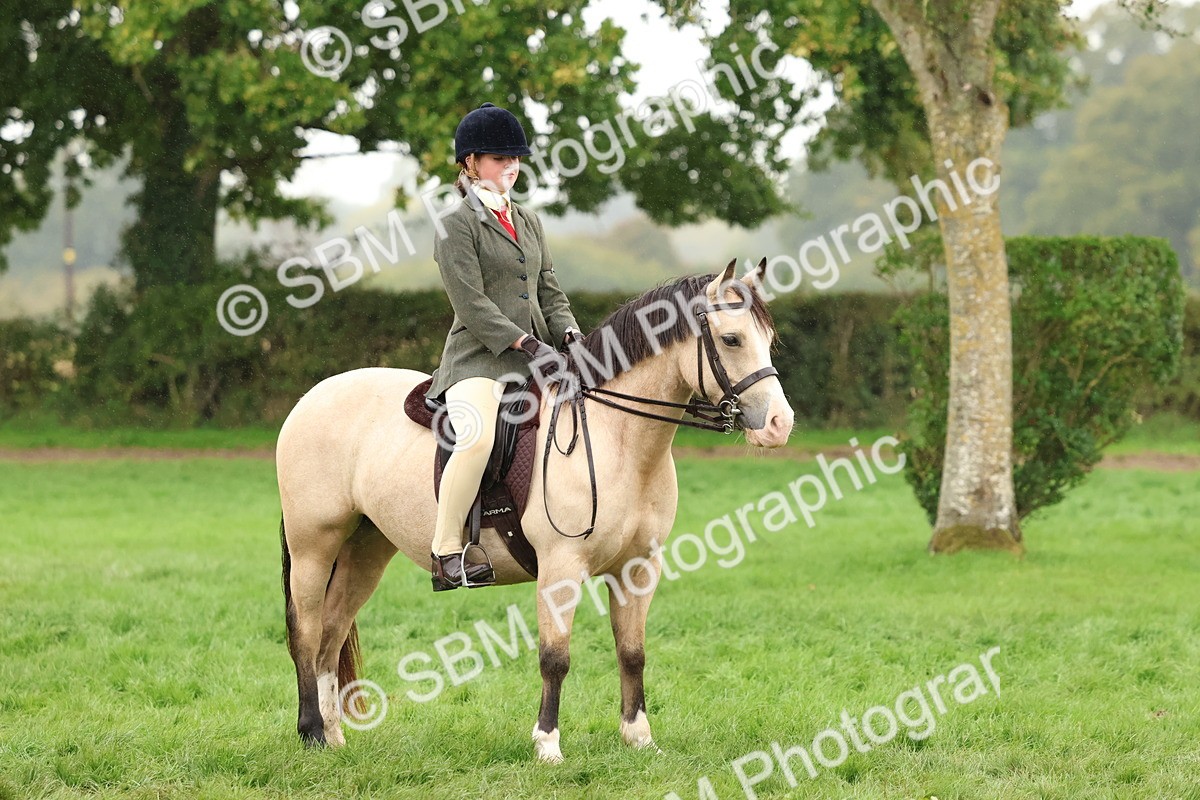 SBM_69716 - S62 - Mountain & Moorland Ridden Large Breeds