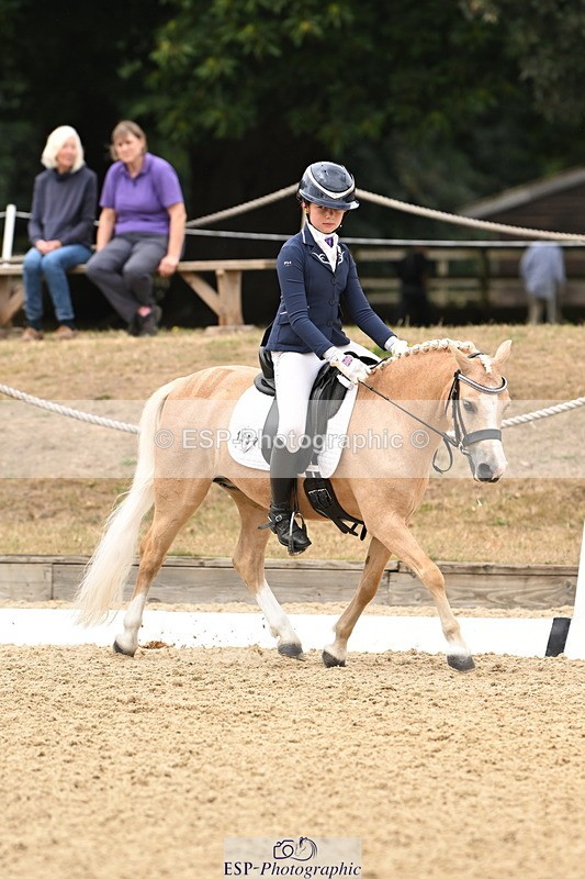 250808A-114220-00675 - 155-Rose.Cassapi-Westfirle.Golden.Oriole