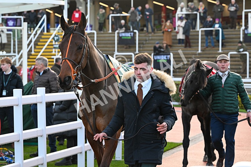 121225-Race 6-Placenet-6447 - Race 6