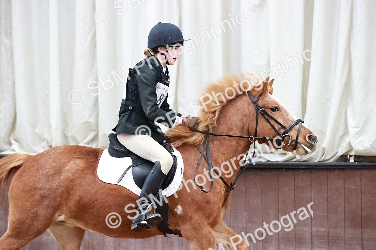 SBM_000596 - Class 2 - Show Jumping 50cm